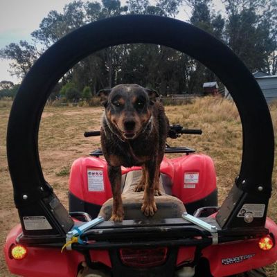 LifeGuard Made in NZ.jpg